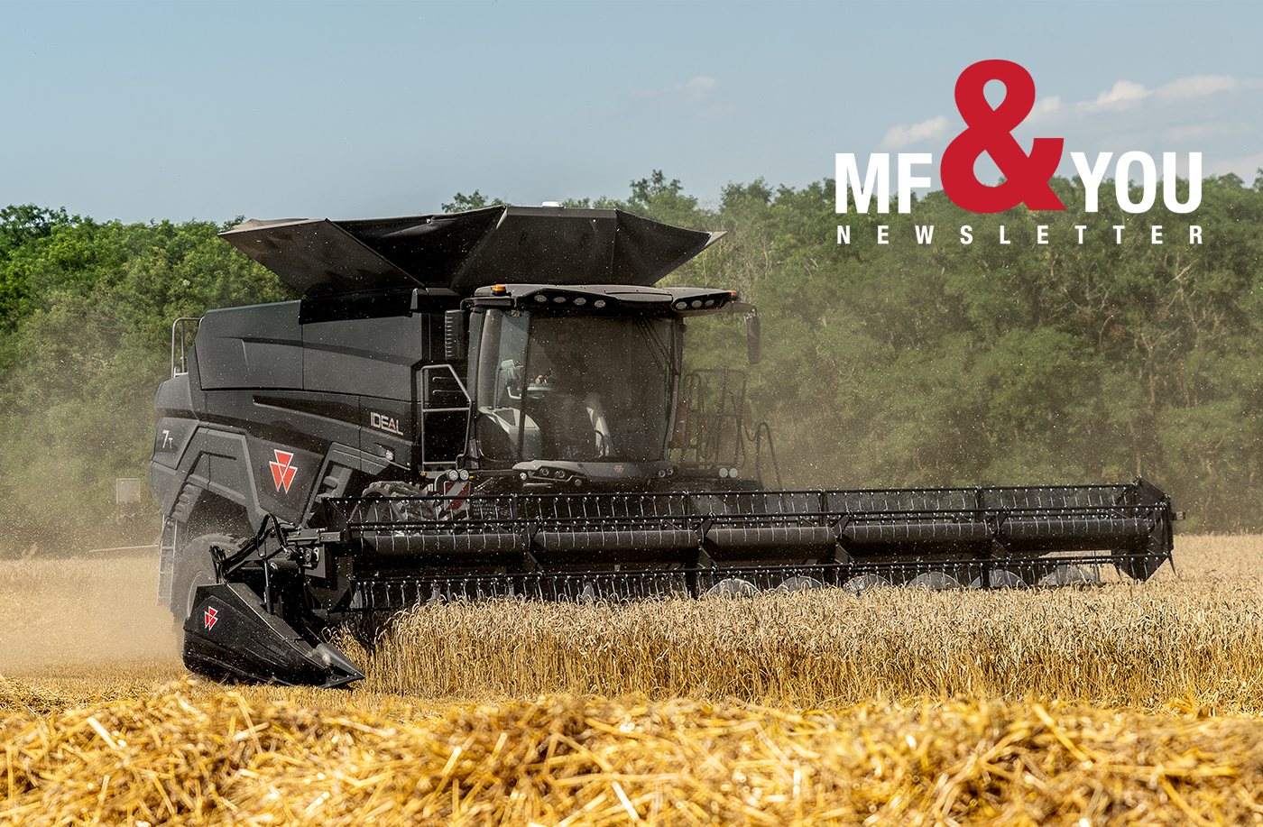 Sunshine & Updates - 极速魔车168官方网站| Highlights & Happenings!